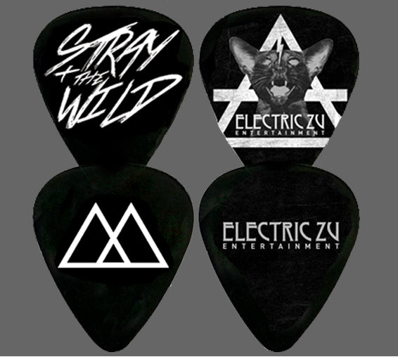 Guitar Pick Set